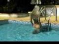Sirene blonde a belles bou�es dans la piscine