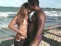 Il y a une plage au Br�sil ou l on taille de bonnes pipes avant de baiser au soleil