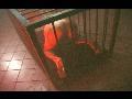 Dora Venter blonde enferm�e dans une cage les yeux band�s avec 2 vnr